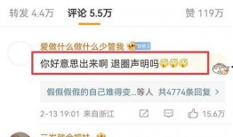 山东大瓜爆料视频播放,揭秘幕后真相，引发网友热议