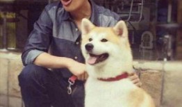 娱乐吃瓜君胡歌